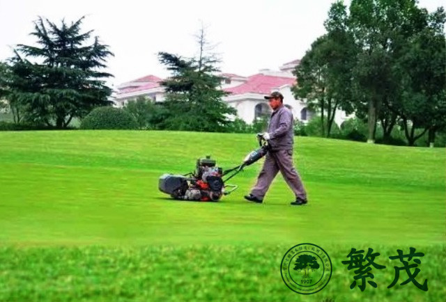 高爾夫球場草坪專業養護管理案例