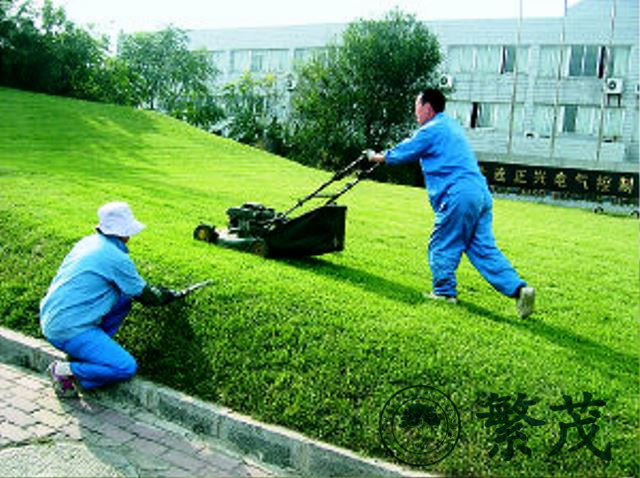 蘇州高新區某企業綠化養護案例