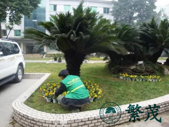 蘇州某學校綠化養護案例