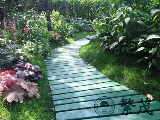 蘇州吳中區某別墅庭院綠化景觀設計及施工案例
