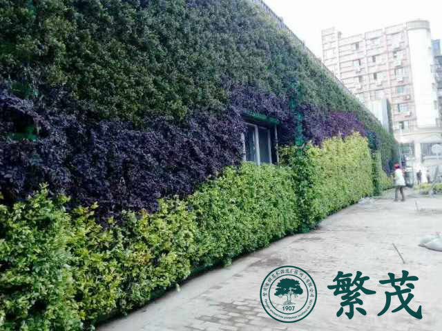 南京某開發商戶外立體植物墻案例
